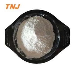 Crospovidone PVPP price suppliers