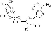 56-65-5 suppliers