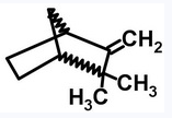 CAS 565-00-4 Camphene suppliers