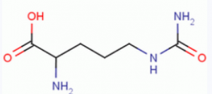 CAS 627-77-0 DL-2-amino-5-ureidovaleric acid suppliers
