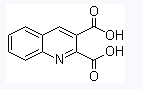 CAS 643-38-9 	2,3-Quinoline dicarboxylic acid suppliers