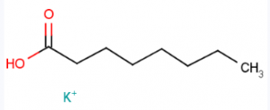 CAS 764-71-6 potassium octanoate suppliers