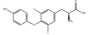 CAS 1041-01-6 3,5-Diiodo-L-thyronine suppliers