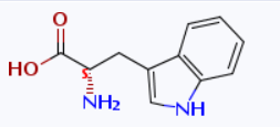 CAS 73-22-3 L-Tryptophan suppliers