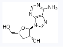 CAS 73-03-0 3'-deoxyadenosine suppliers