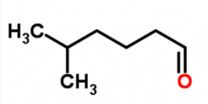 CAS 1860-39-5 5-methylhexanal suppliers