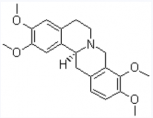 CAS 10097-84-4 Tetrahydropalmatin suppliers