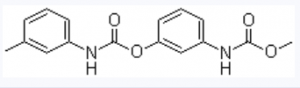 CAS 13684-63-4 Phenmedipham suppliers