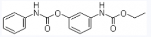 CAS 13684-56-5 Tiancaian suppliers