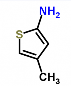 CAS 14770-82-2 4-methylthiophen-2-amine suppliers