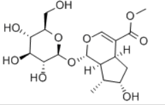 CAS 18524-94-2 Loganin suppliers