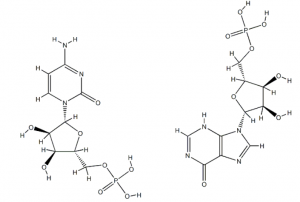 CAS 31852-29-6 polyinosinic acid/ polycytidylic potassium;Poly I suppliers
