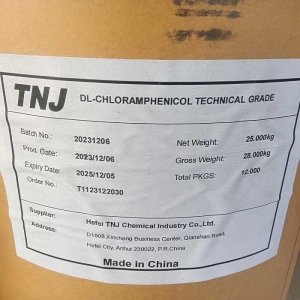 Buy DL-Chloramphenicol