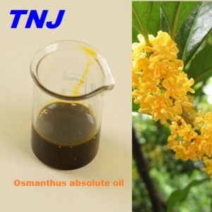 Osmanthus absolute oil